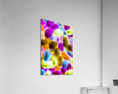Jellybean X-Ray Acrylic Print