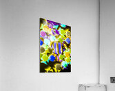 Wild waters Acrylic Print