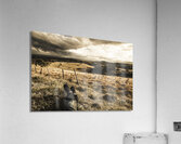 Holiday in Tasmania Acrylic Print