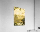 River Vista views Acrylic Print