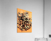 Untold word play Acrylic Print