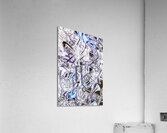 Silver dance Acrylic Print