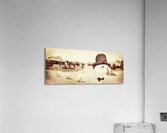 Natures pecking order Acrylic Print