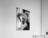 Love And Commitment Acrylic Print