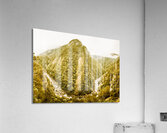 Edge of Wilderness Acrylic Print