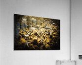 Seaside of creative charms Acrylic Print