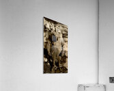 Dog Fights At Giant Heights Acrylic Print