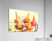 Choc chip silos Acrylic Print