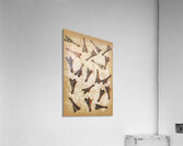 Time worn trinkets from vintage Paris Acrylic Print