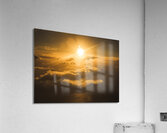 Golden glow Acrylic Print