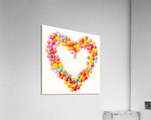 Sweetest thing Acrylic Print