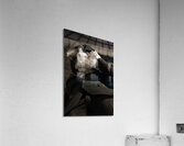 Mysterious Miasma Man Acrylic Print