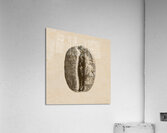 Old gold Acrylic Print