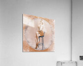 Happy american style pin-up girl on retro chair Acrylic Print