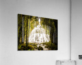 Tasmanian Waterfalls Acrylic Print