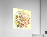 Shimmering sound Acrylic Print