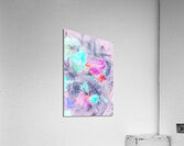 Pastel plumes Acrylic Print