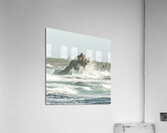 Aquatic spray Acrylic Print