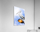 Looking To The Future Acrylic Print