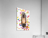 Bears boats and buttons Acrylic Print