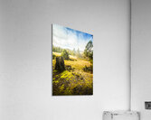 Bright and colourful forest Acrylic Print