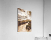 Pathways to seaside paradise Acrylic Print