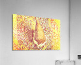 Sugar coated Acrylic Print