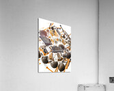 Driving obstacles  Acrylic Print