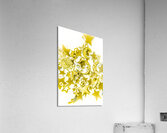 Golden galaxy Acrylic Print