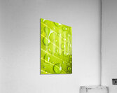 Summer rain Acrylic Print
