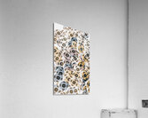 P-layout Acrylic Print