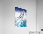 Tropical Sea Escape Acrylic Print