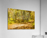 Choose your own adventure Acrylic Print