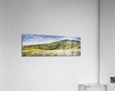 Mount Agnew landscape in Tasmania Acrylic Print