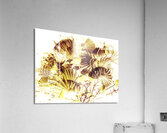 Tropical reef Acrylic Print