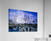 Dark scene from scary dreams Acrylic Print