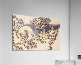 Scaled Acrylic Print