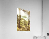 Lookout Point Acrylic Print