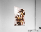 Stories of fleeting romance Acrylic Print