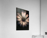 Dark Flower Acrylic Print