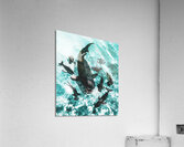 The shallows Acrylic Print
