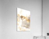 Butterfly Dreams Acrylic Print