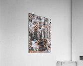 Momentous expeditions Acrylic Print