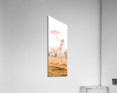 Sky Dance Acrylic Print