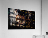 Legends untold Acrylic Print