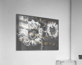 Summer nostalgia Acrylic Print