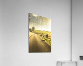 The wander Acrylic Print