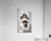 Hot shot Acrylic Print