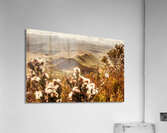 Spring mountain blossoms Acrylic Print