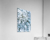 Spring dreams Acrylic Print